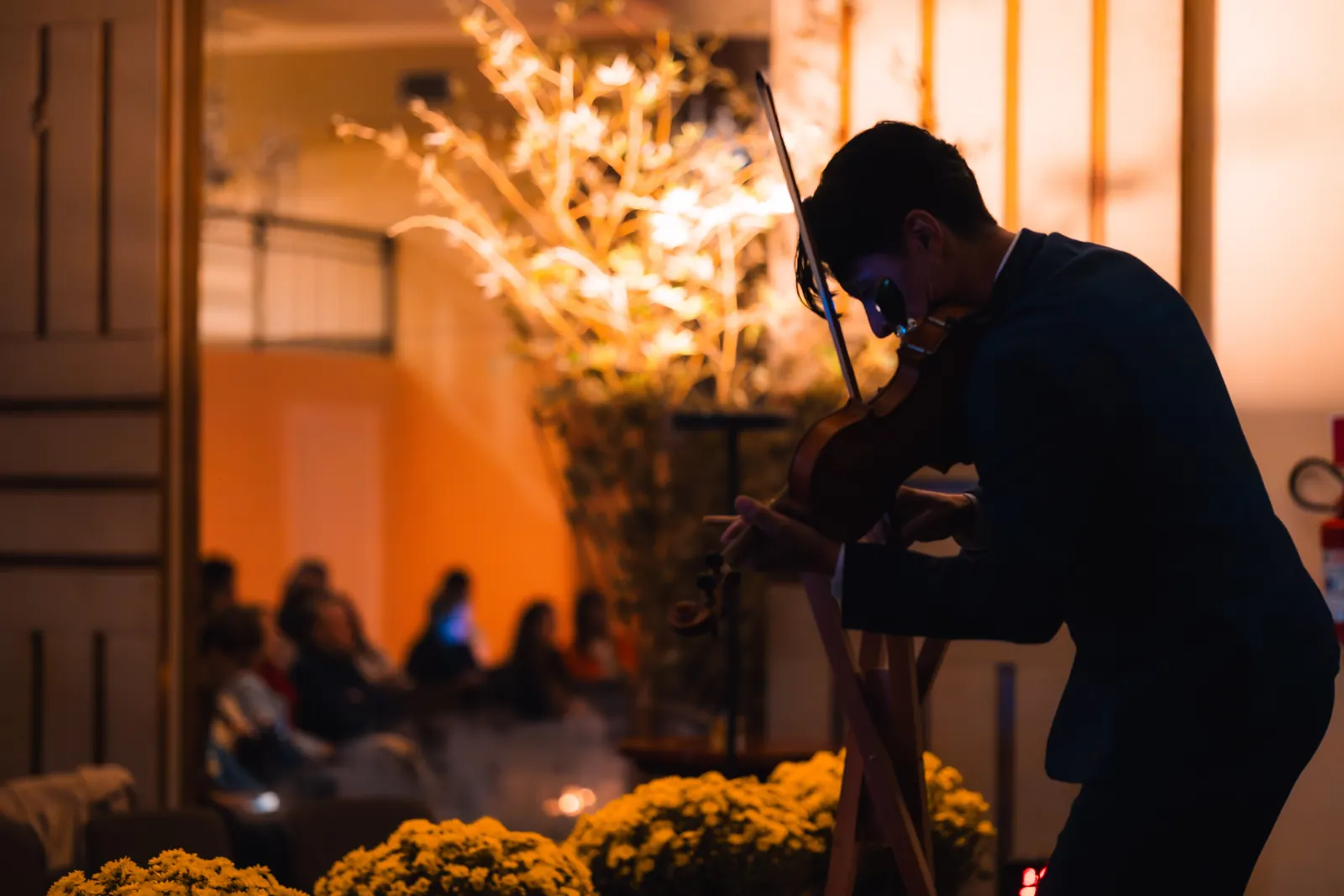 Violinista se apresentando na Marvelous Casa, com iluminação quente e flores no palco
